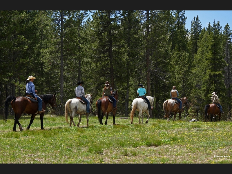 Trail ride at Colter