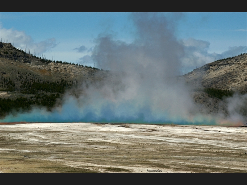 2010 Yellowstone (3)