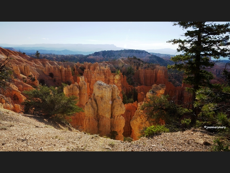 Bryce- Fairyland (4)