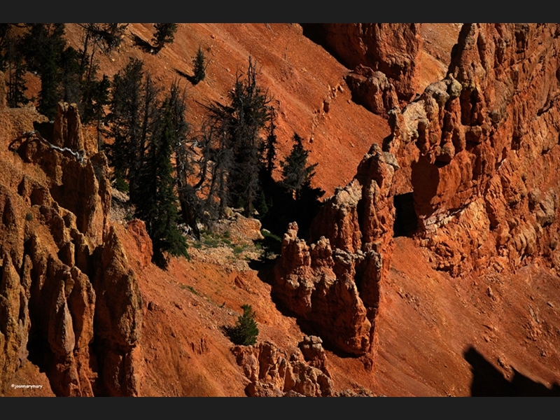 Cedar Breaks (2)