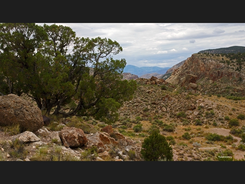 Fremont Indian State Park (3)