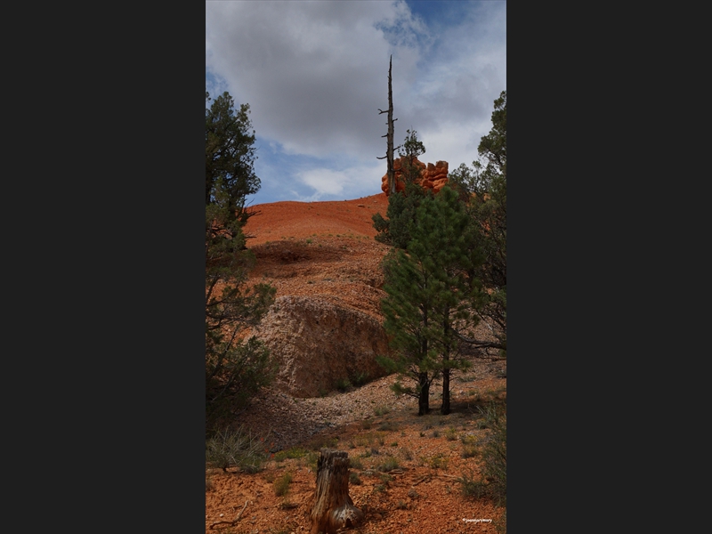 Red Canyon- Utah (2)