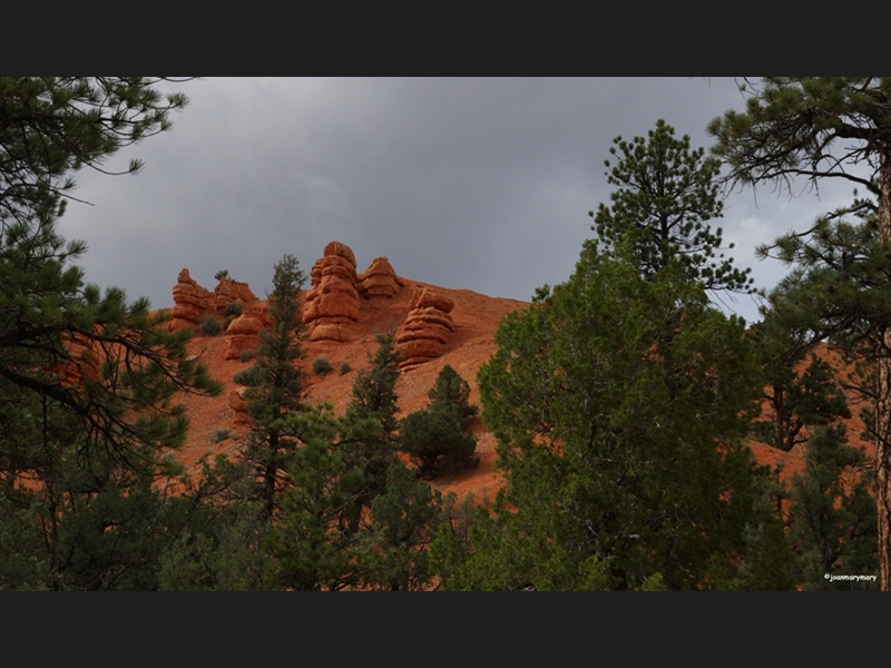 Red Canyon- Utah (4)