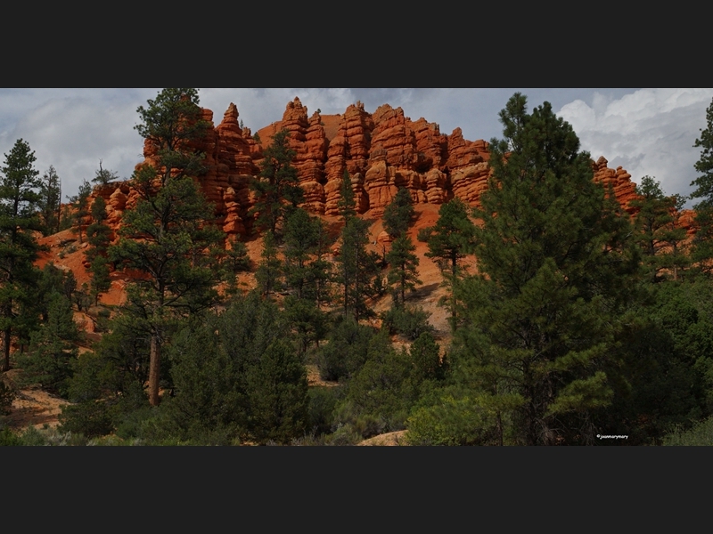 Red Canyon- Utah (5)