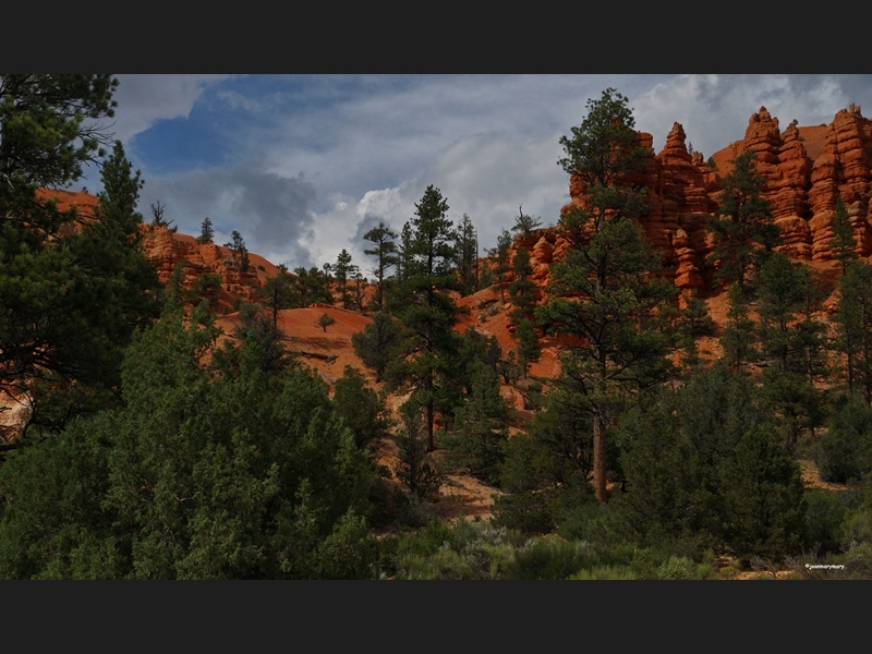 Red Canyon- Utah (6)